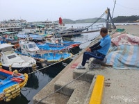 태풍 힌남노 북상에 조업 멈춘 어선들...여수 국동항과 잠수기수협 항구