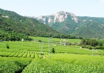 온가족 추억 만들기 좋은 전남 관광지...이곳이 좋다