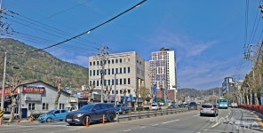 흉물 닭발 가로수, 여수시 무분별한 가로수 가지치기 논란