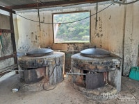 우리 그냥 이 집의 단골이 되고 싶어요