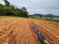 [발행인 칼럼] 악마는 디테일에... 추적보도 필요한 이유