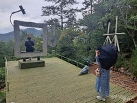 해남 포레스트수목원 숲길에서 마주한 향긋한 여름