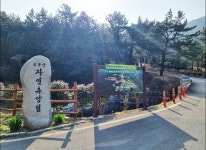 여수시도시관리공단, 봉황산자연휴양림 산책로 안전점검 실시해