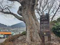 [단독] 수백 년 방치된 여수 마주교(만제석교), 문화재적 가치는?