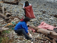 끝없는 섬섬섬 해안쓰레기...여수섬박람회가 대안 찾을까?