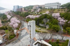 전남대·교육부·전남도, 지역과 대학 상생발전 위해 머리 맞대