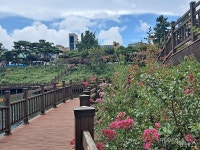 도심 속 예쁜 호수공원, 여수 성산공원에 가다