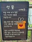 도심 속 예쁜 호수공원, 여수 성산공원에 가다