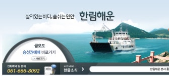 여수 신기항-여천항 여객선, 한림페리9호 운항 중단