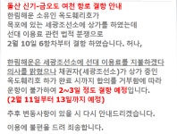 여수 신기항-여천항 여객선, 한림페리9호 운항 중단
