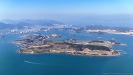 여수 섬이 죽어간다! 대경도 야산에 널브러진 재선충병 고사목