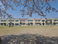 [학교 탐방] 고라니와 아이들이 뛰노는 여수 경호초등학교