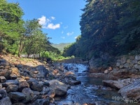이 여름을 시원하게… 구례 문수골 청정계곡에 가다