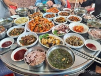 [섬 특별기획] 섬과 사람을 품은 700년의 숨결, 여수 횡간도 소나무