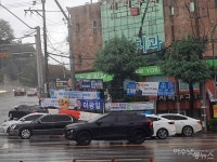 여수 시내 뒤덮은 정치인 현수막…눈살 찌푸려진다 시민 불만 폭발