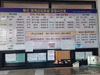 여수 백야도–개도 오가는 여객선, 차량 후진 승선 안전 사각지대