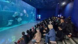 대한노인회여수시지회, 노인공익활동참여자 문화활동