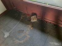 왜 이럴까? 여수 돌산읍 군내리 문화재 곳곳 방치