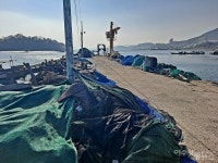 여수 소호 물양장, 쓰레기장 전락...화려한 조명 아래 감춰진 민낯