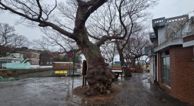 [김광호 칼럼]  어긋난 길에서 체험한 길은 걸어야 완성된다