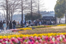 올봄 순천만국가정원...제대로 즐기는 3가지 방법