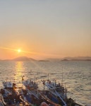 또 찾고 싶은 섬, 여수 여자도 대동마을에 찾아온 봄