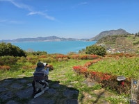 [섬 특별기획] 꽃섬 하화도, 봄바람 타고 걷는 아기자기한 바닷길