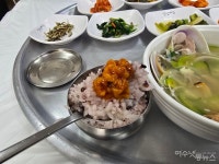 [미식기행] 진짜 여수의 맛... 여수 잠수기수협 식당가에서 찾은 개조개탕