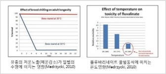 양봉육성법 시행 첫해, BeeHappy 등 꿀벌 살리는 제품 주목