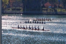 부산시, 제48회 장보고기 전국 조정대회 18일 개최