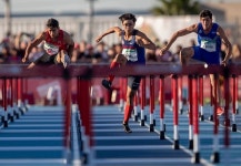 엘리트 스포츠가 된 한국 교육의 비극