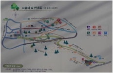 폭삭 속은 만큼 치유한 제주의 숲
