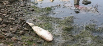 상전벽해로 끊어졌다 이어진 물길