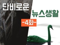 [단비로운 뉴스생활] 제4화