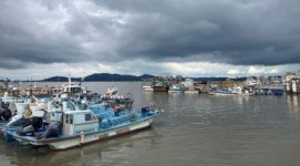 일제 수탈 되새기는 해관카페