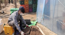 생명 퍼뜨리기보다 숭고한 일은 없다