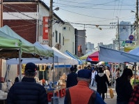 염소 도축장에서 개 밀도살