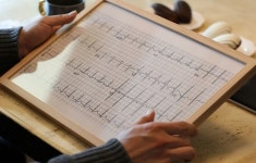 생명으로 이어진 죽음을 이야기하다