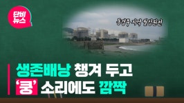 생존배낭 챙긴 초등생, 차 소리에도 깜짝 놀라