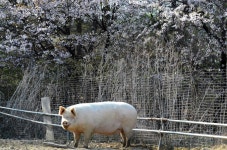 동물과 새로운 관계 맺는 피난처