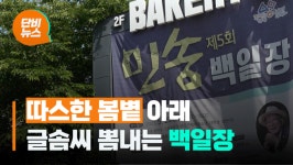 글쓰기는 즐거워…SNS 시대의 백일장