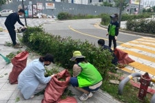 숨 쉴 곳 만드는 가로수, 조성만큼 관리도 중요