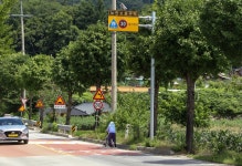 51대 1…노인을 위한 도로는 없다