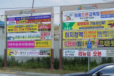 도시를 점령한 현수막 그 길이만 연간 8000km
