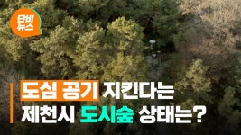 도심 공기 지킨다는 도시숲, 관리 제대로 하나?