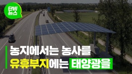 고속도로 위, 방음벽에도 태양광 패널을 깔자