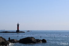 원전 최대 밀집 도시 부산, 재생에너지 전환 요원