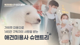 [잡플리] 구독자 145만명 슈앤트리가 전하는 애견미용사란?