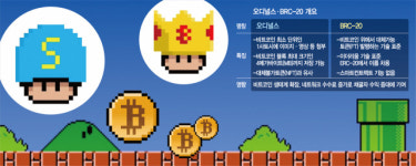 [블록체인 NOW] 현물ETF 다음은 비트코인 NFT···패러다임 대전환 오나