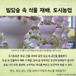 [생활TECH] 빌딩숲에서 애그리테크로 농사짓기
